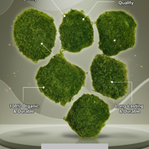 Decorative Green Moss Patches (Model MOSS-09) for Terrariums & Crafts