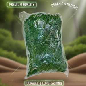 Preserved Green Decorative Moss for Crafts, Terrariums & Home Decor